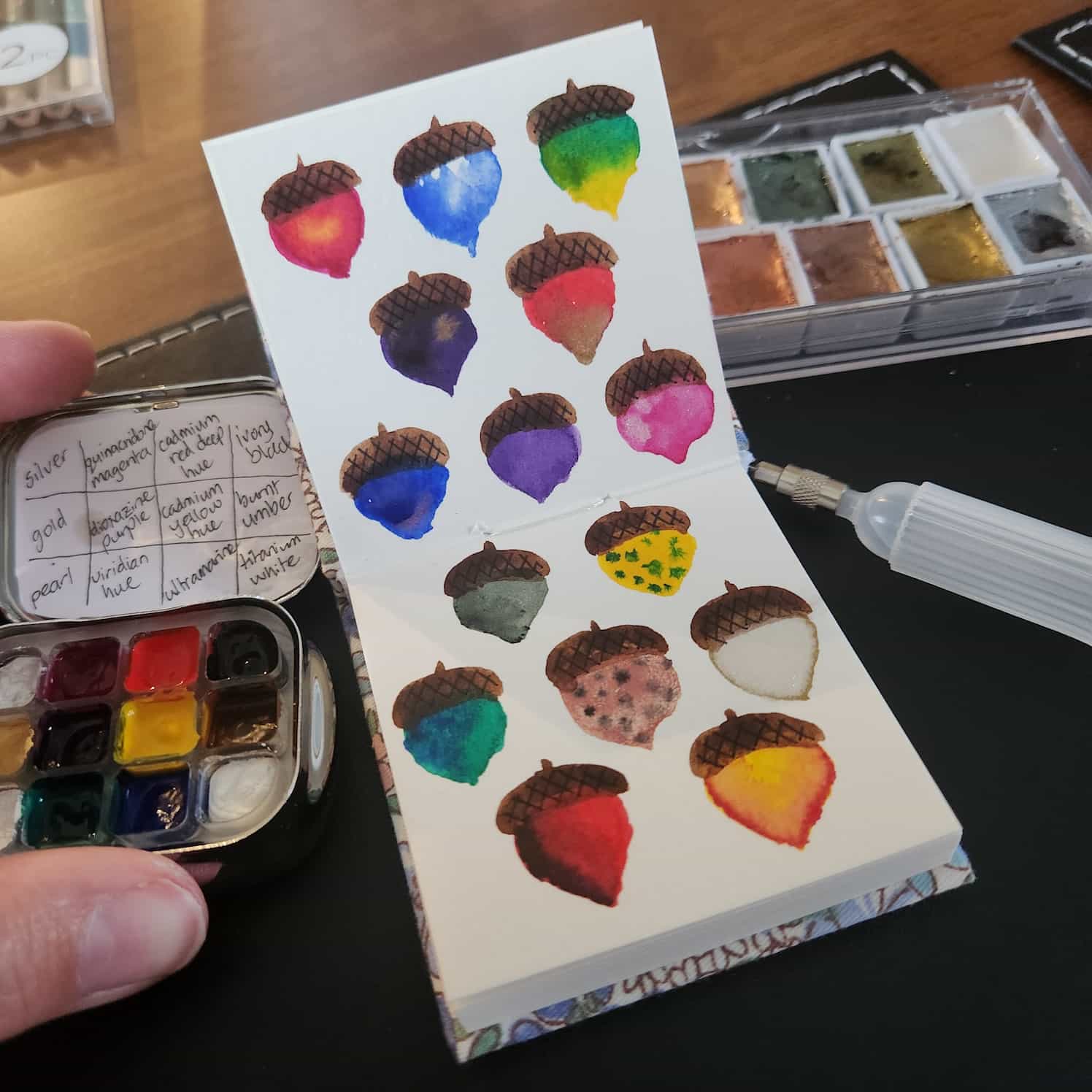 A small watercolour book open to a two-page spread of different coloured acorns laid out in a grid-like pattern. Two small palettes of watercolours are also in frame.