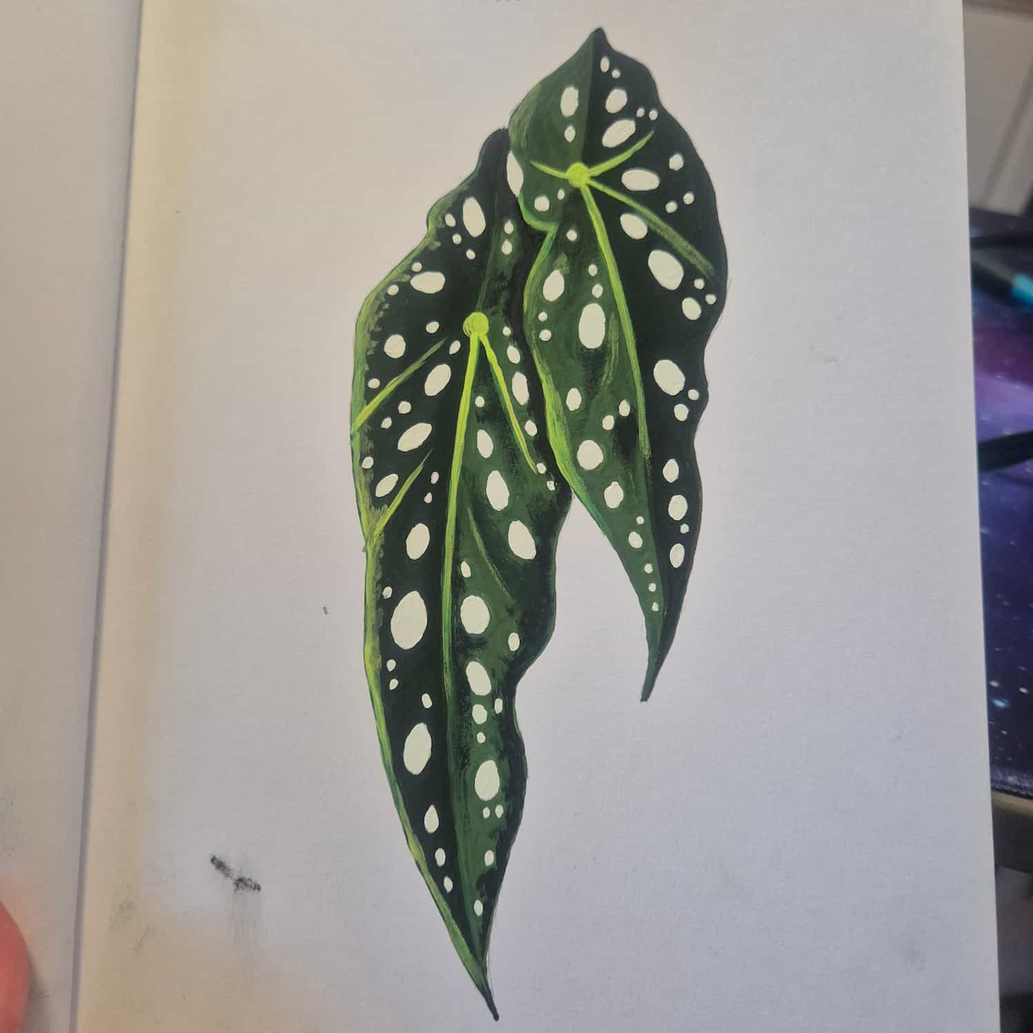 A close-up of the completed begonia leaves painting in gouache.